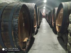 -青岛葡萄酒博物馆