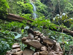 -莫里热带雨林景区
