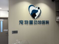 -宠物星动物医院·眼科·异宠·猫科(江南大道总院)