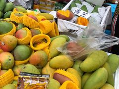 -三亚新鸿港水果一级批发市场