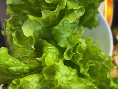 -胡悦里韩式烤肉(莱阳总店)