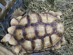 -重庆国际会议展览中心