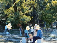 -阳台山自然风景区