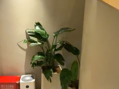 -泰合玺·精油疗愈 SPA(南京河西万达店)