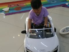 -自然谷恐龙园