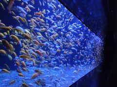 -成都浩海立方海洋公园