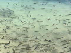 -青海湖二郎剑景区