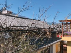 -喵屿·大理花园猫咖