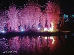 -天适樱花悠乐园