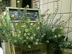-恋暖初茶(万菱汇店)