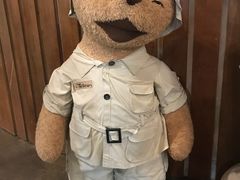 -济州岛泰迪熊博物馆