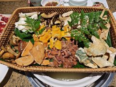 -菌歌野生菌火锅(海埂大坝店)