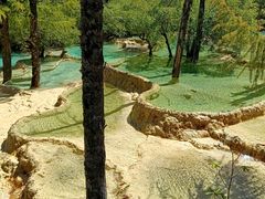 -黄龙山原始森林景区