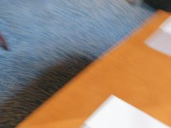 -蜻蜓逐宴全日制西餐厅I古北水镇大酒店