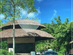-海南槟榔谷黎苗文化旅游区