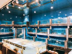 -五谷芳乳鸽王（大梅沙总店C区）(网红打卡店)
