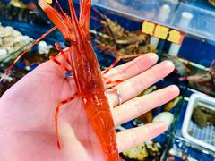 -江杨农产品批发市场