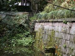 -虎跑公园