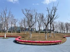 -春花秋色城市公园