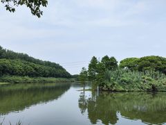 -沙家浜风景区