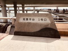 -演武大桥观景平台