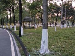 -海珠湖公园
