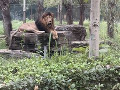 -秦皇岛野生动物园
