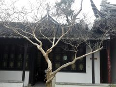 -司徒庙