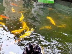 -湖鲜楼
