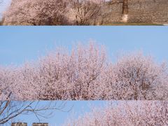 -北京明城墙遗址公园