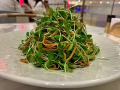 -喜鼎海胆水饺(平安金融中心店)