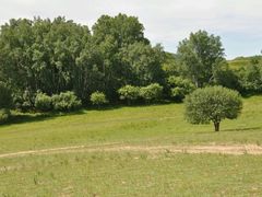 -塞罕坝国家级自然保护区