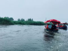 -白洋淀景区
