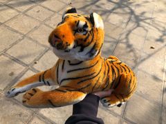 -石家庄市动物园