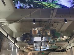 -探窝·竹笙椰子鸡(杨箕店)