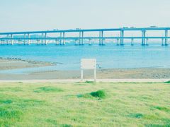 -海堤纪念公园