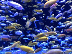 -成都浩海立方海洋公园