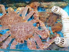 -醉壹号海鲜大排档(厦门美食地标店)