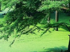 -青山湖景区
