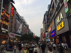 -黑色经典臭豆腐·湖南特产(步行街店)