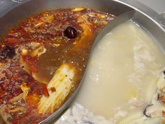 -京门活鱼馆·鱼火锅(百子湾（原红庙）店)