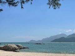 -花海间·即刻露营