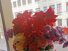 -新雅粤菜馆(南京东路店)