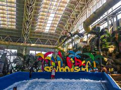 -杭州开元森泊度假乐园