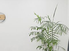大堂-浆木咖啡馆(湘子庙街店)