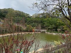 -广州市帽峰山景区
