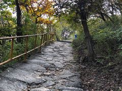 -北京上方山国家森林公园