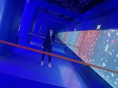 -太平洋海底世界