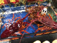 -江杨农产品批发市场