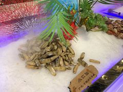 -圣罗巴海鲜烤肉自助(赤峰店)